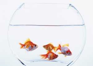 API经济的五大常见问题及解答