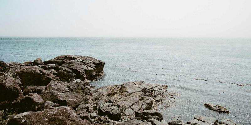 API经济
